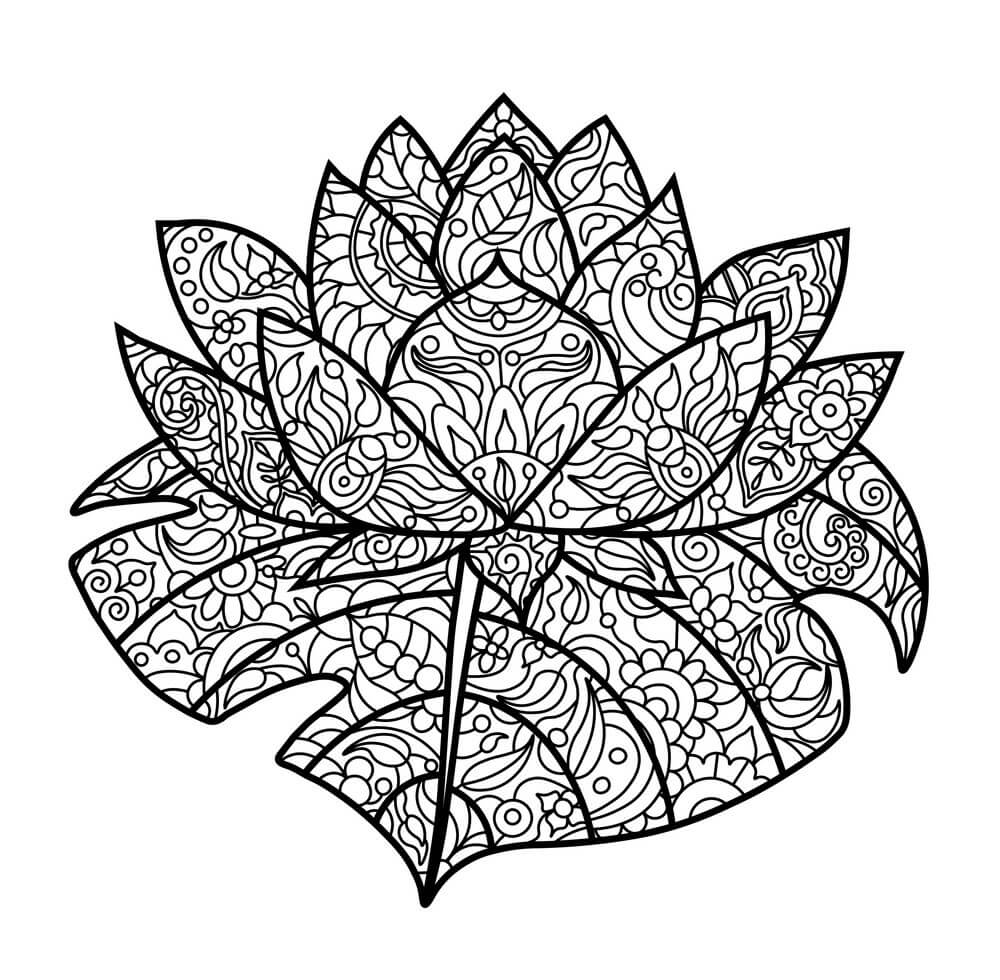 Dibujo de Lotus Adulto para Colorear