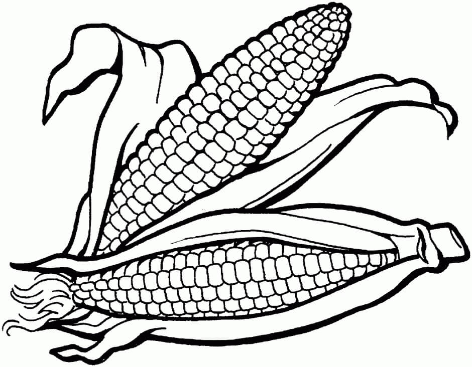 Dibujo de Dos Callos Indios para Colorear