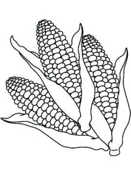 Dibujo de Tres Callos para Colorear