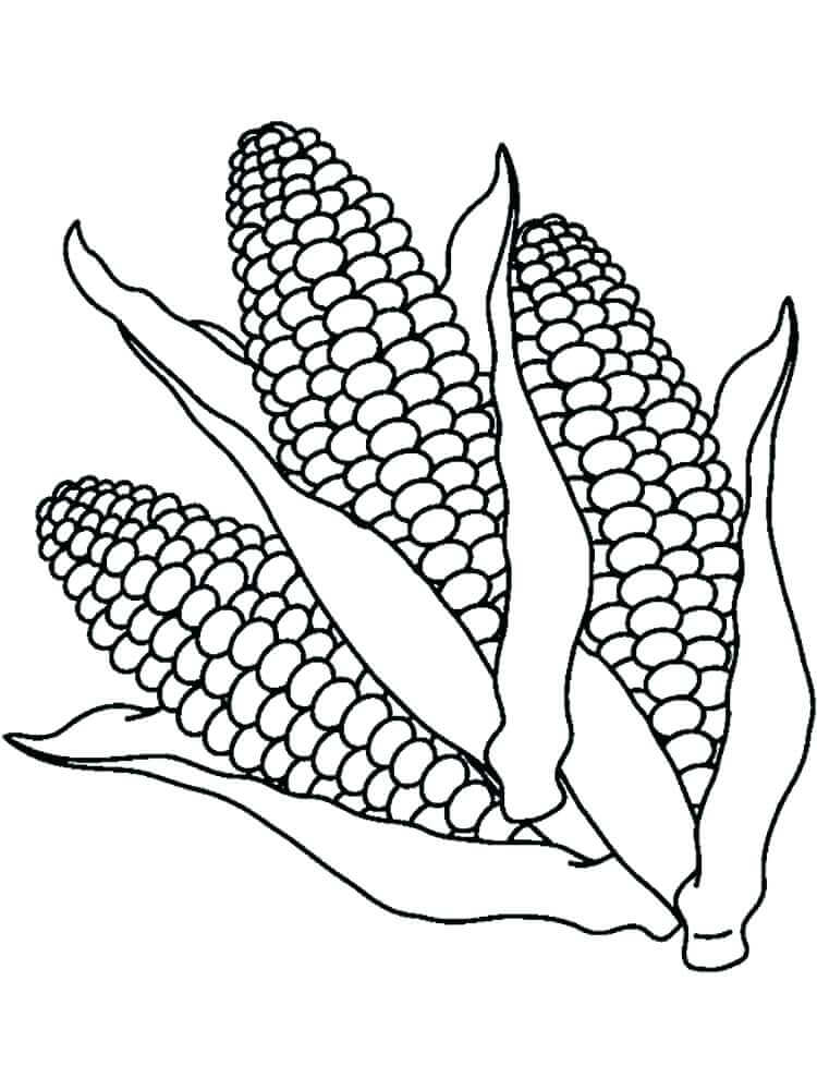 Dibujo de Tres Callos para Colorear