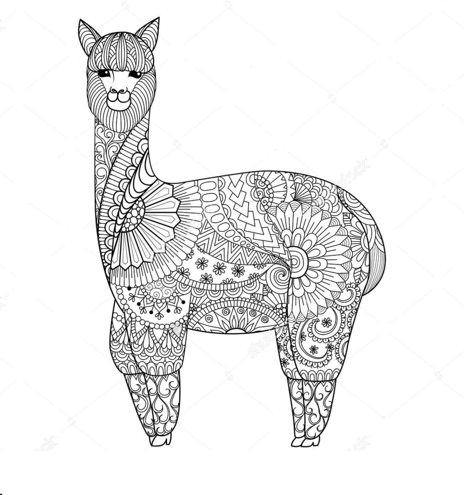Dibujo de Mandala Linda Llama para Colorear