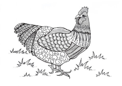 Dibujo de Mandalas Gallo Impresionante para Colorear