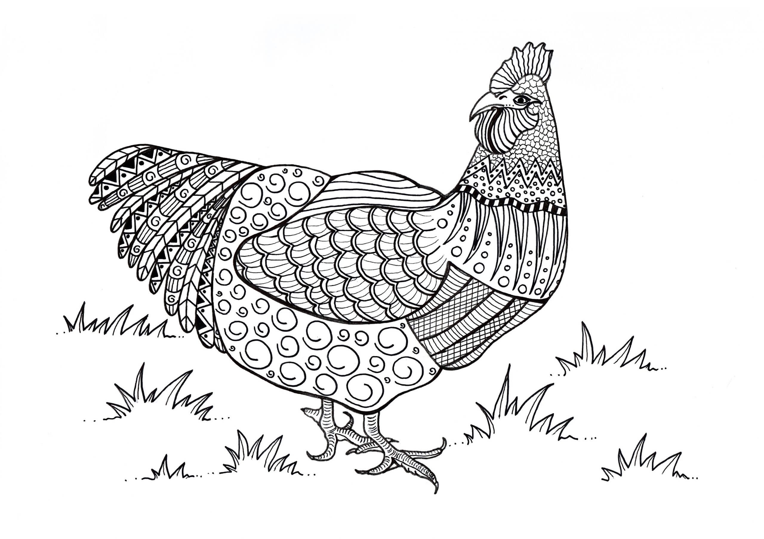 Dibujo de Mandalas Gallo Impresionante para Colorear