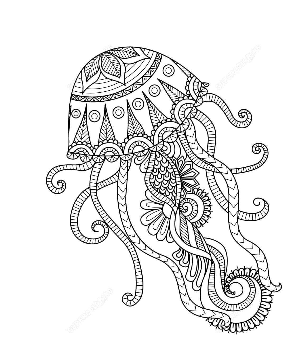 Dibujo de Medusas Hermosas para Colorear