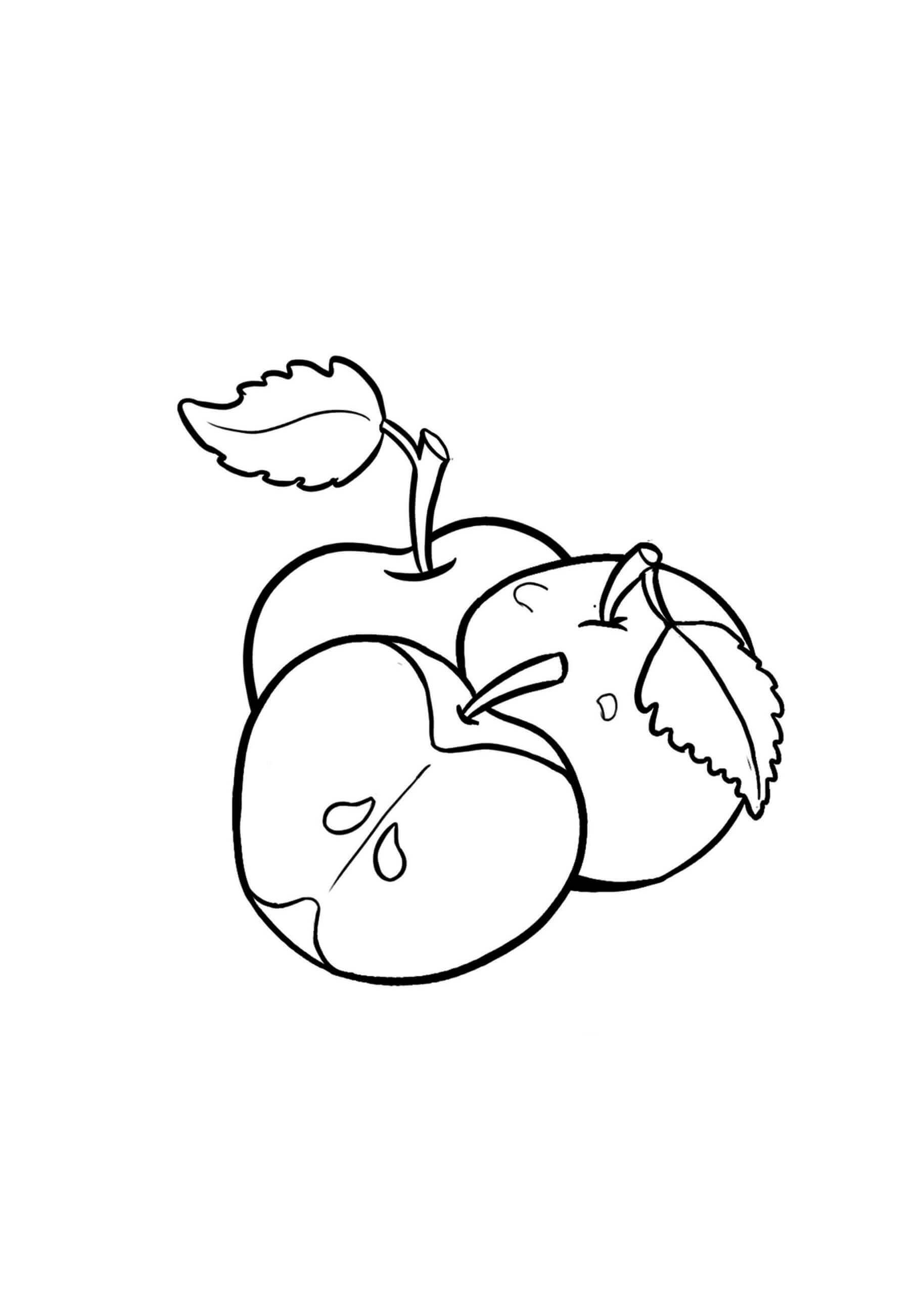 Dibujo de Dos Manzanas con Rodajas de Manzana para Colorear