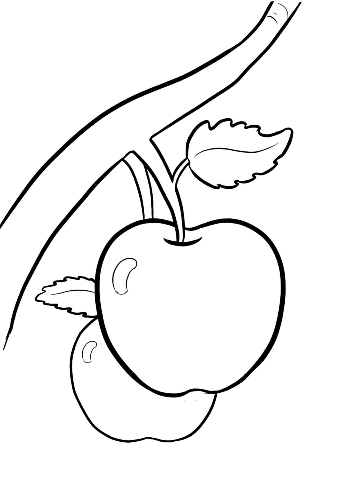 Dibujo de Dos Manzanas en el árbol para Colorear