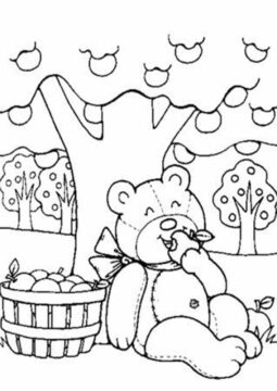 Dibujo de Oso de Peluche Comiendo Manzanas con Manzano para Colorear