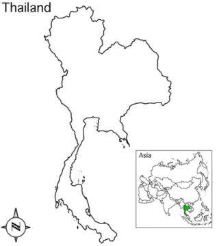 Dibujo de Mapa de Tailandia para Colorear