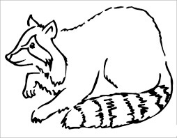 Dibujo de Mapache para Colorear