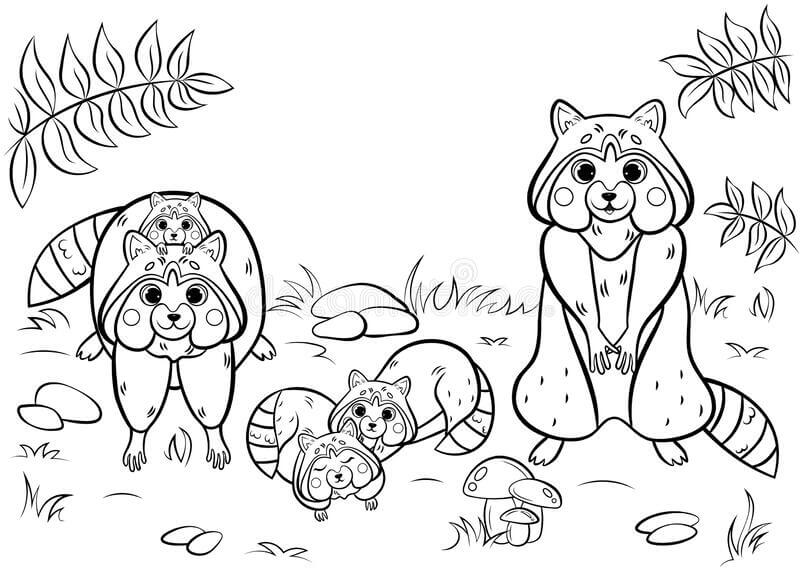 Dibujo de Lindo Mapache Familiar para Colorear