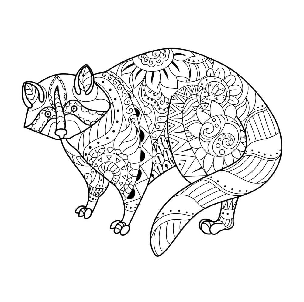 Dibujo de Mandala de Mapache para Colorear