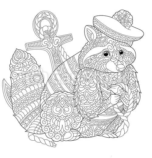 Dibujo de Mapache Adulto para Colorear