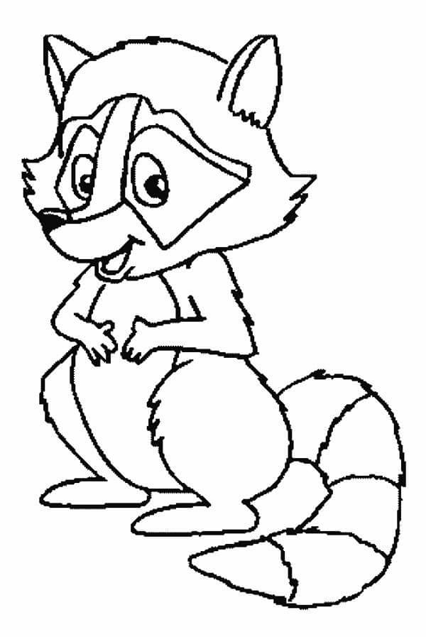 Dibujo de Mapache Divertido para Colorear