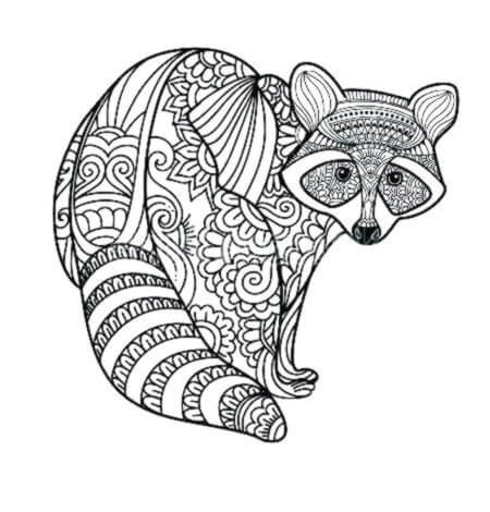 Dibujo de Mapache Duro para Colorear