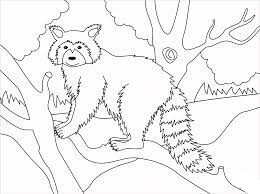 Dibujo de Mapache Normal para Colorear