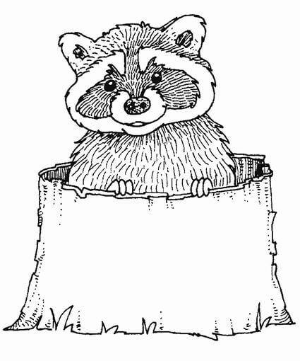 Dibujo de Mapache Sonriente para Colorear