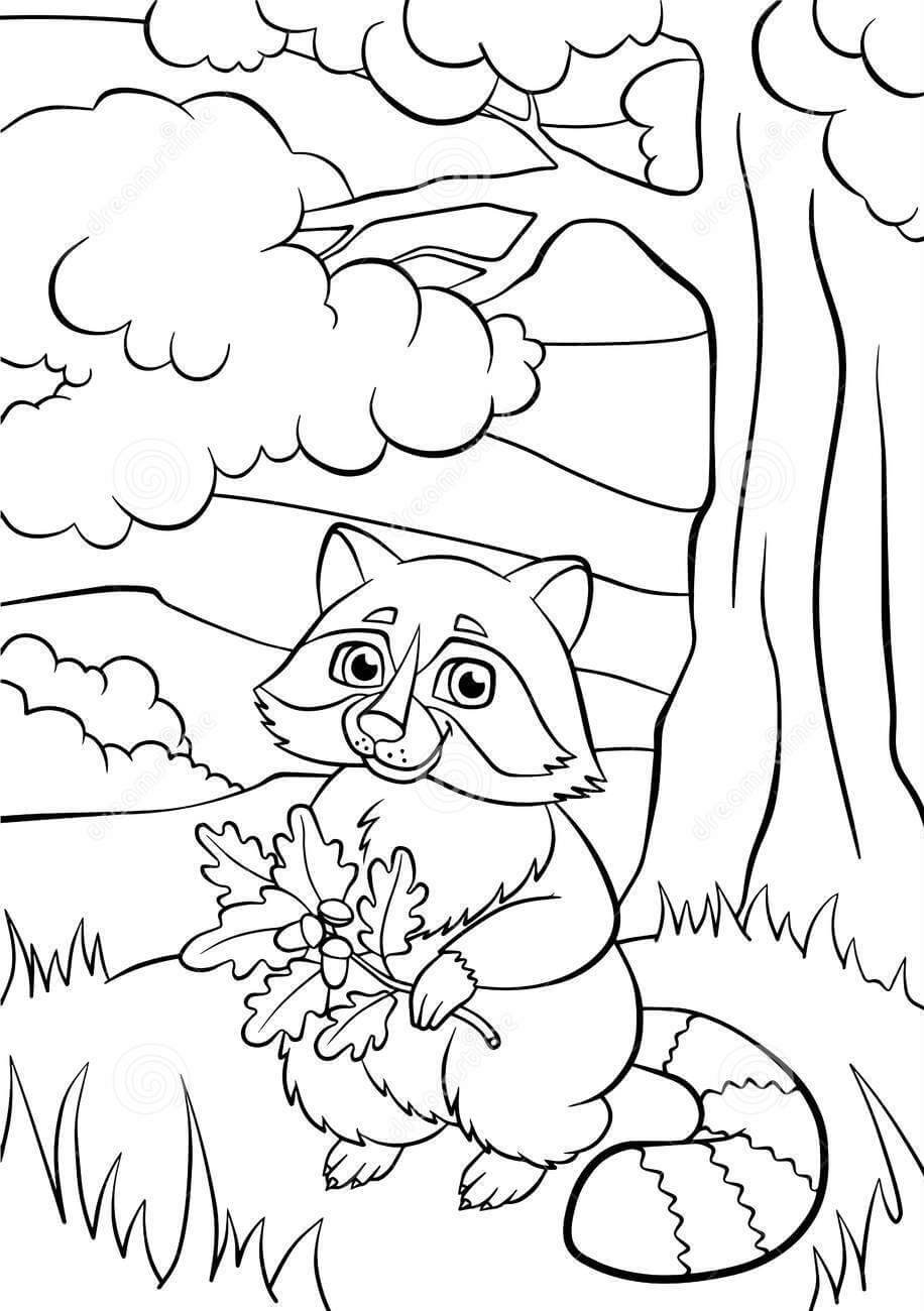 Dibujo de Mapache Tenencia Hoja para Colorear