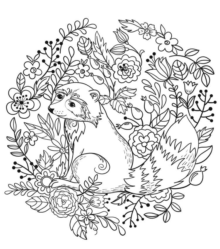 Dibujo de Mapache con Flor para Colorear