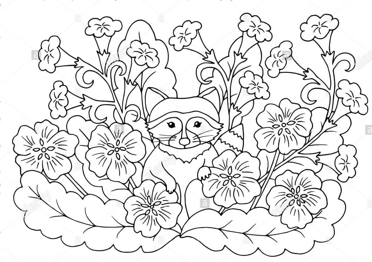 Dibujo de Mapache con Hoja para Colorear