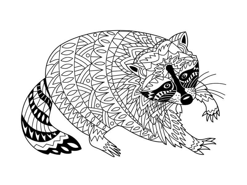 Dibujo de Mapache para Adulto para Colorear