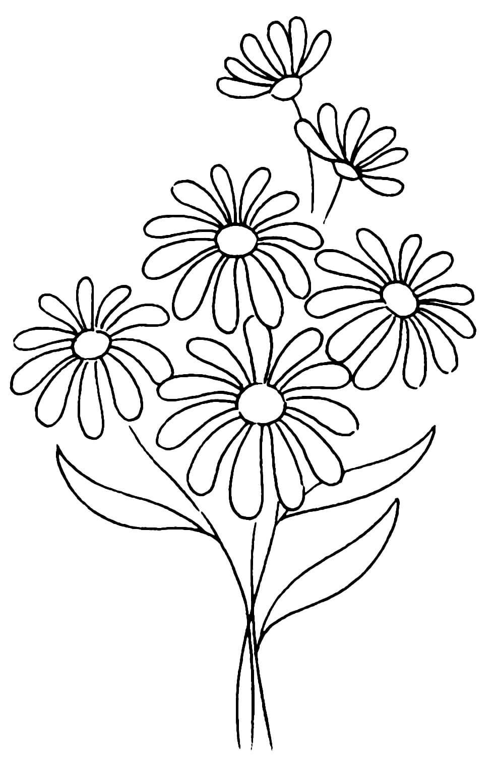Dibujo de Bonita Flor de Margarita para Colorear