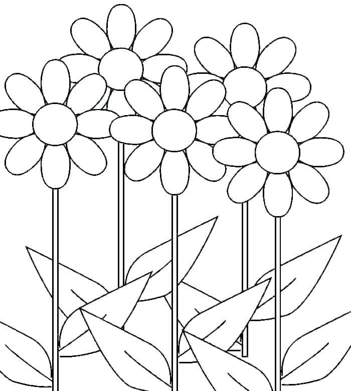 Dibujo de Cinco Margarita para Colorear