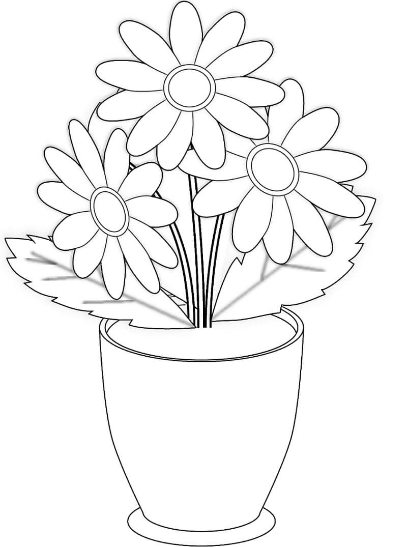 Dibujo de Florero de Crisantemo para Colorear