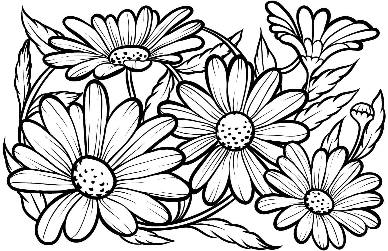Dibujo de Hermosa Margarita para Colorear