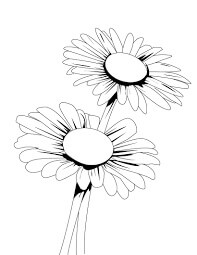 Dibujo de Manojo de Margaritas para Colorear