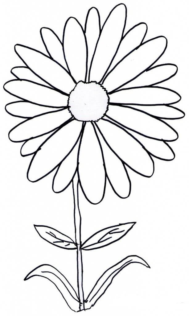 Dibujo de Margarita Impresionante para Colorear