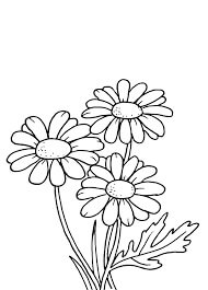 Dibujo de Margarita Simple y Dulce para Colorear