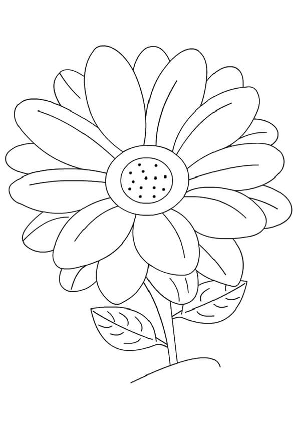 Dibujo de Margarita para Colorear