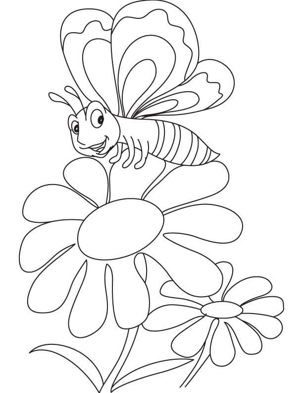 Dibujo de Mariposa con Margarita para Colorear