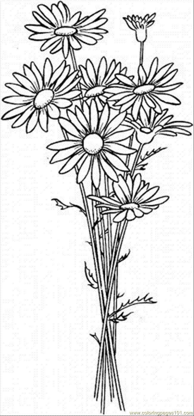 Dibujo de Seis Margaritas para Colorear