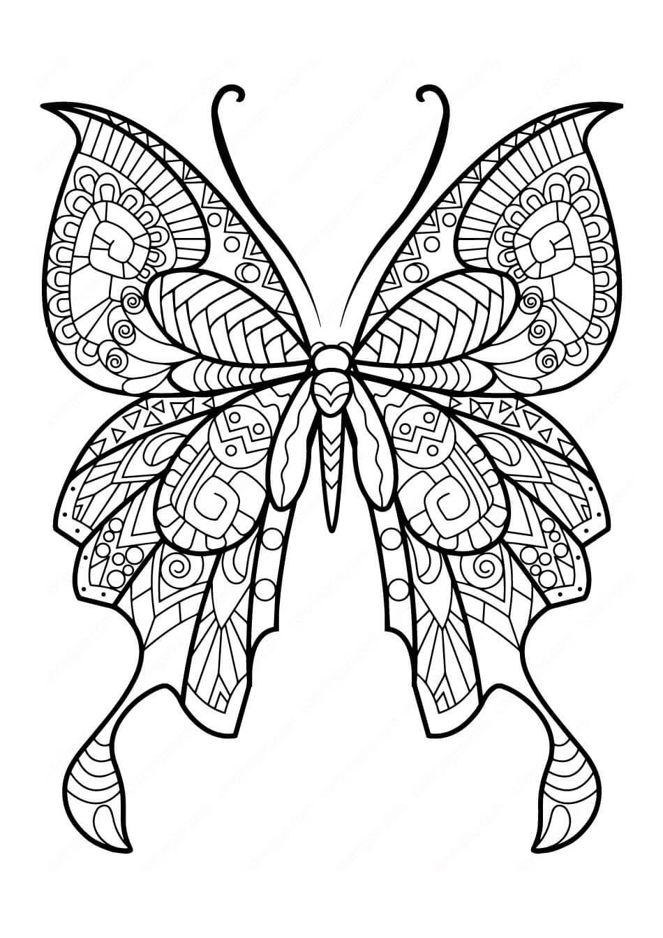 Dibujo de Adorable Mariposa para Colorear
