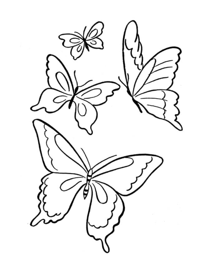 Dibujo de Cuatro Mariposas para Colorear