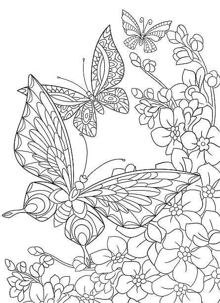 Dibujo de Dos Mariposas para Adultos para Colorear
