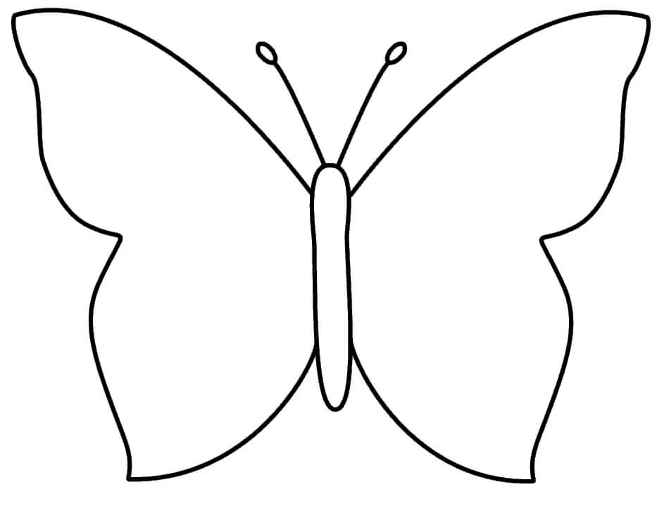 Dibujo de Esquema de Mariposa para Colorear