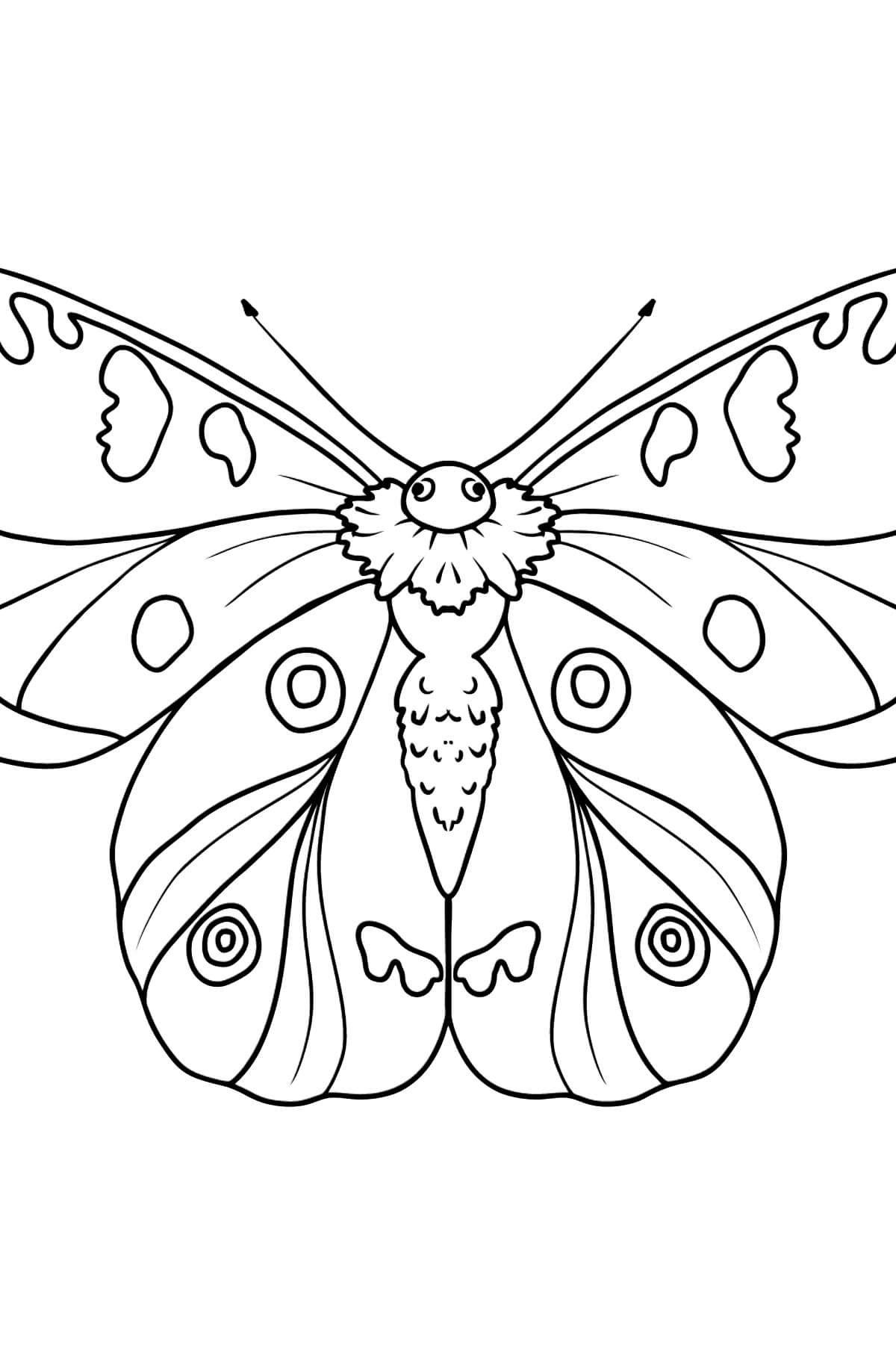 Dibujo de Gran Mariposa para Colorear