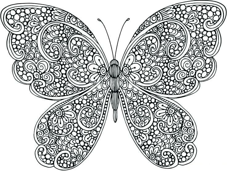 Dibujo de La Mariposa Es para Adultos para Colorear