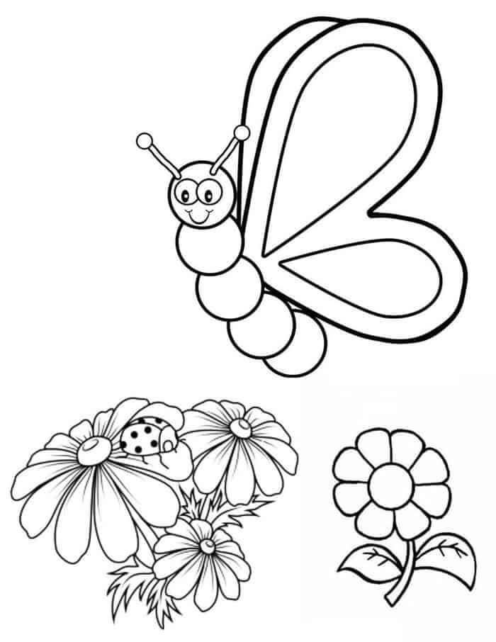 Dibujo de Linda Mariposa y Flor para Colorear