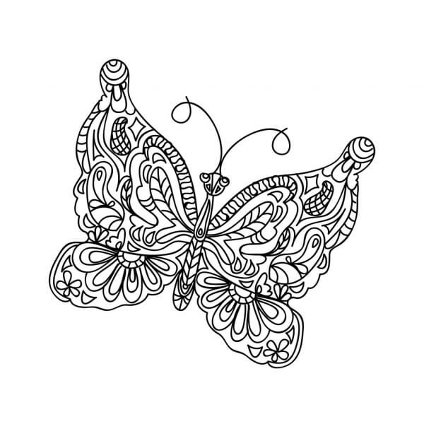 Dibujo de Mariposa Adulto para Colorear