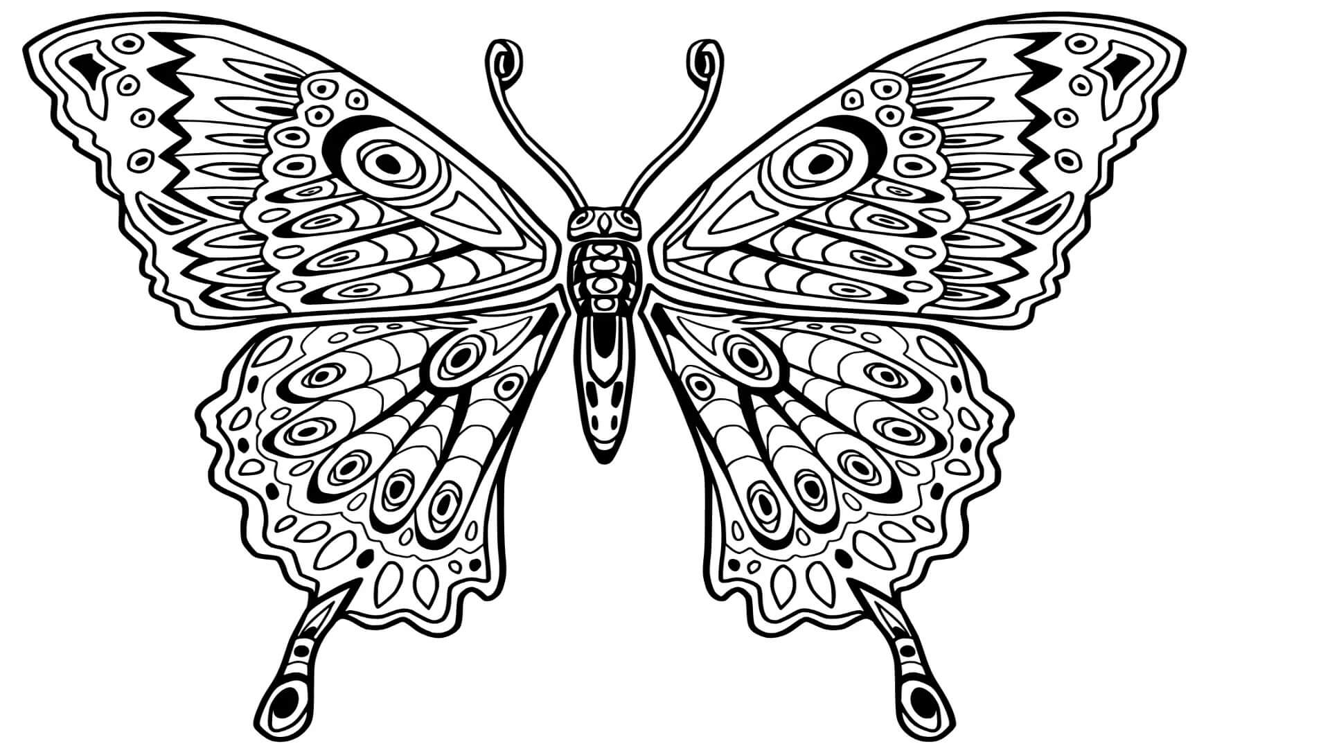 Dibujo de Mariposa Asombrosa para Colorear