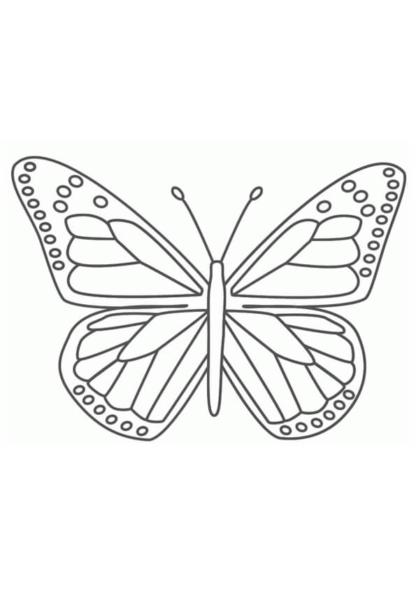 Dibujo de Mariposa Imprimible para Colorear
