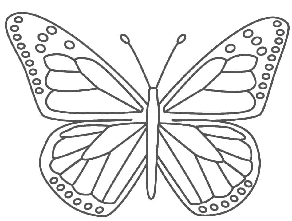 Dibujo de Mariposa Monarca para Colorear