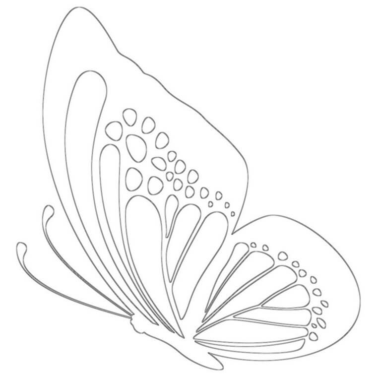 Dibujo de Mariposa Peculiar para Colorear