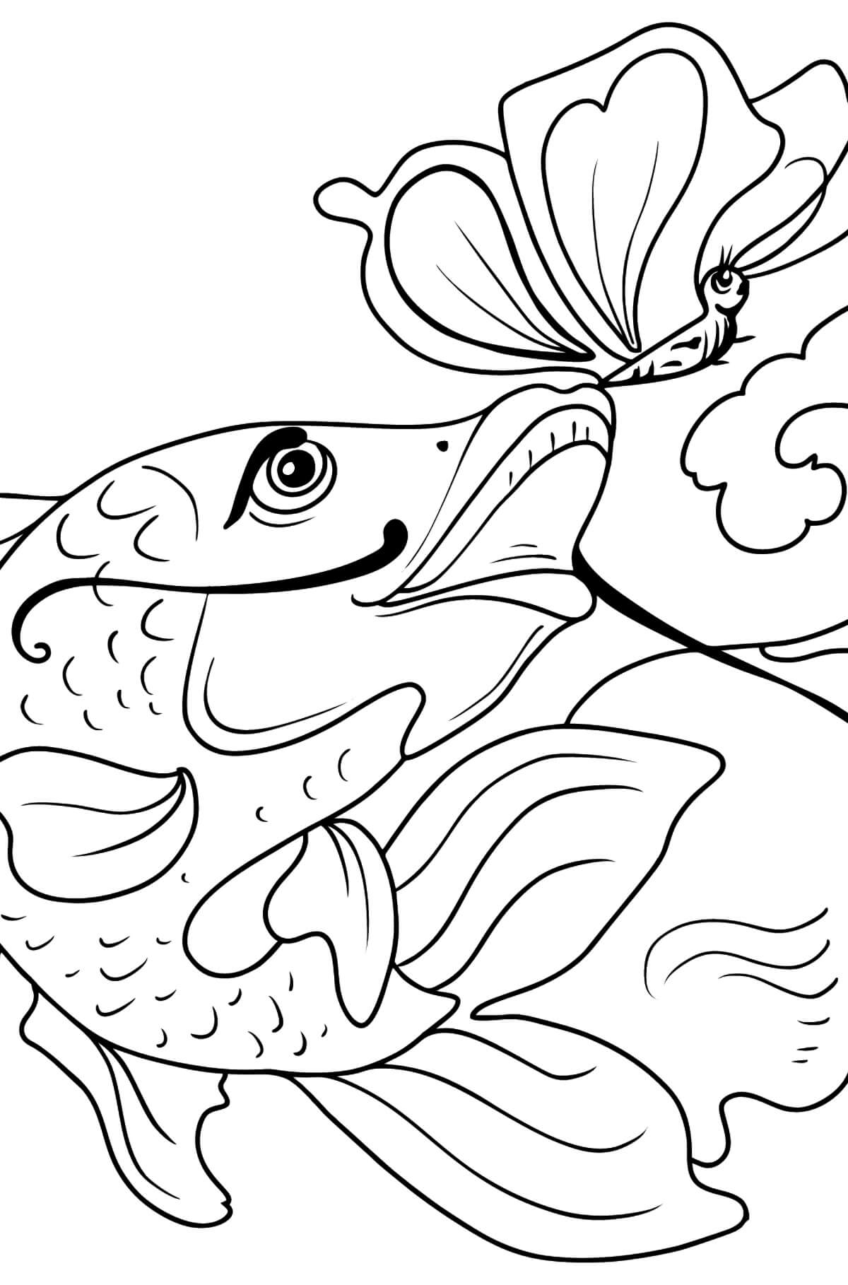 Dibujo de Pez y Mariposa para Colorear