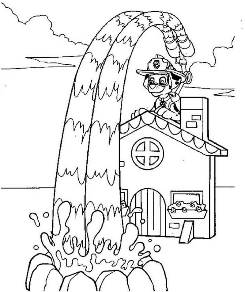 Dibujo de Marshall Disparando Agua para Colorear