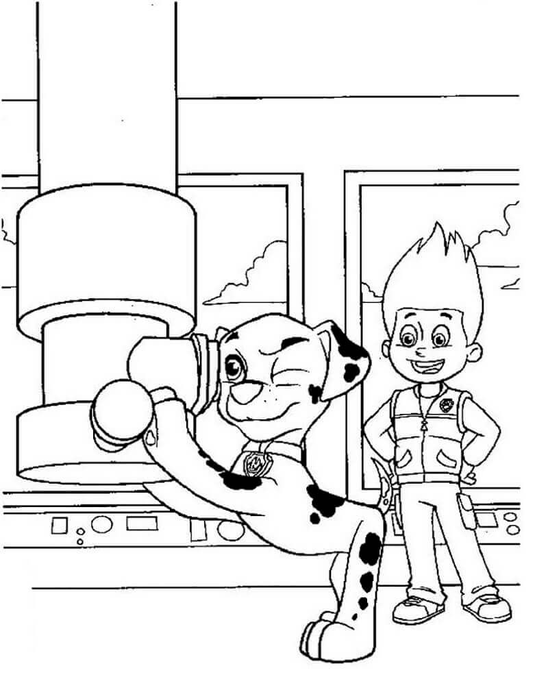 Dibujo de Marshall Patrulla Canina 3 para Colorear