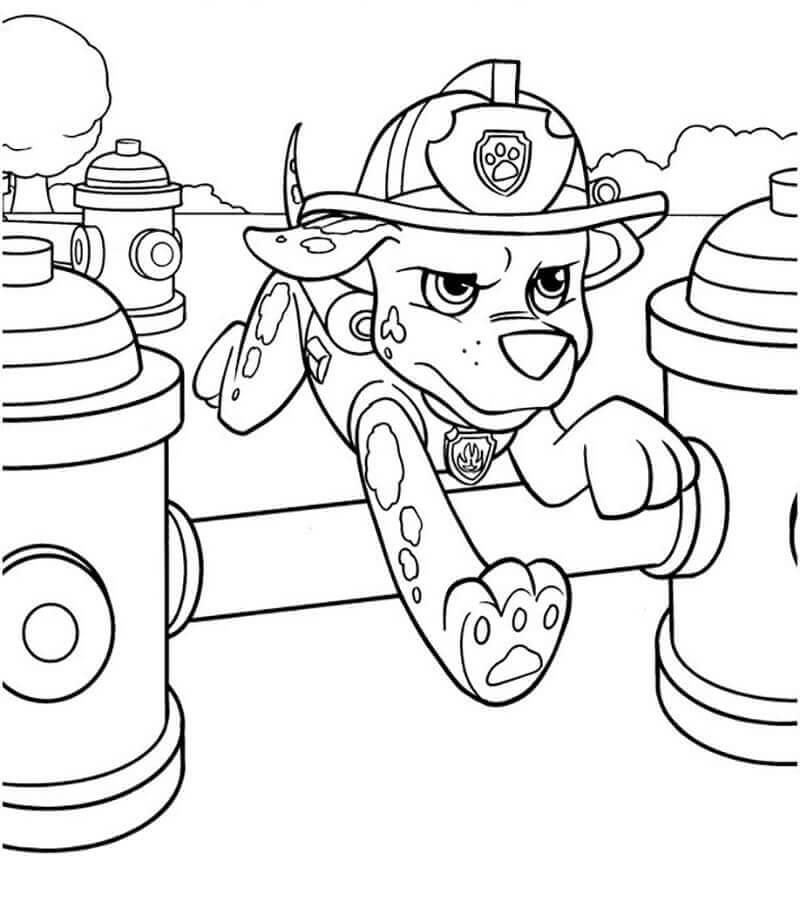 Dibujo de Marshall Paw Patrol Corriendo para Colorear